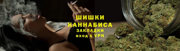 стафф Касимов