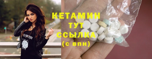 стафф Касимов