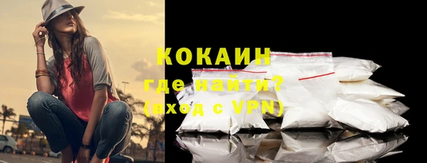 стафф Касимов