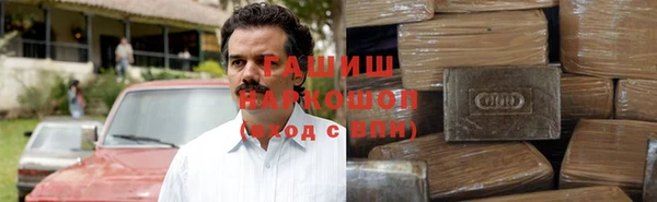стафф Касимов