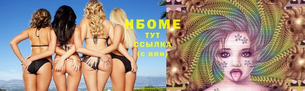 стафф Касимов
