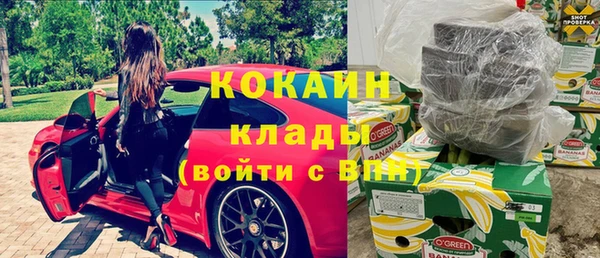 стафф Касимов