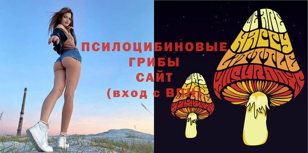 стафф Касимов