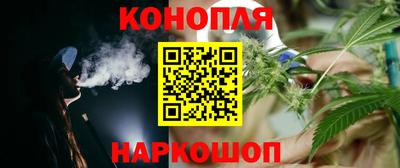 прущие грибы Шебекино