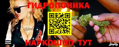 прущие грибы Шебекино