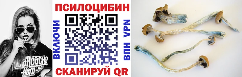 Псилоцибиновые грибы прущие грибы  Усть-Кут 