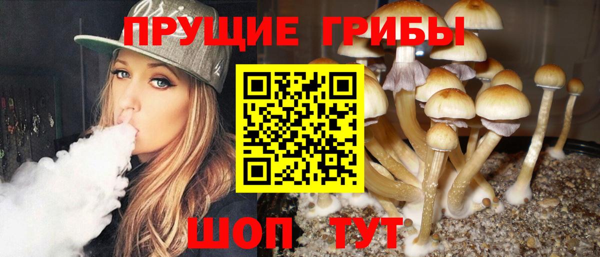Усть-Кут  Псилоцибиновые грибы Magic Shrooms  Вход с VPN 