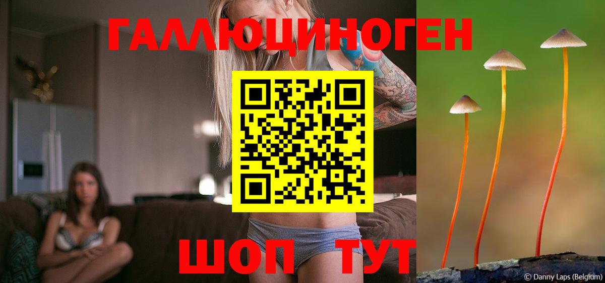 Псилоцибиновые грибы Psilocybine cubensis Усть-Кут